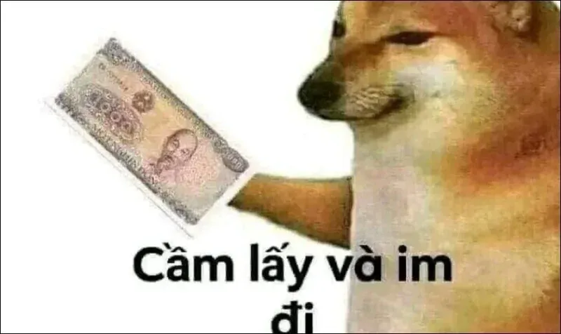 100+ ảnh meme hài bựa chọn lọc cực chất · ảnh 1