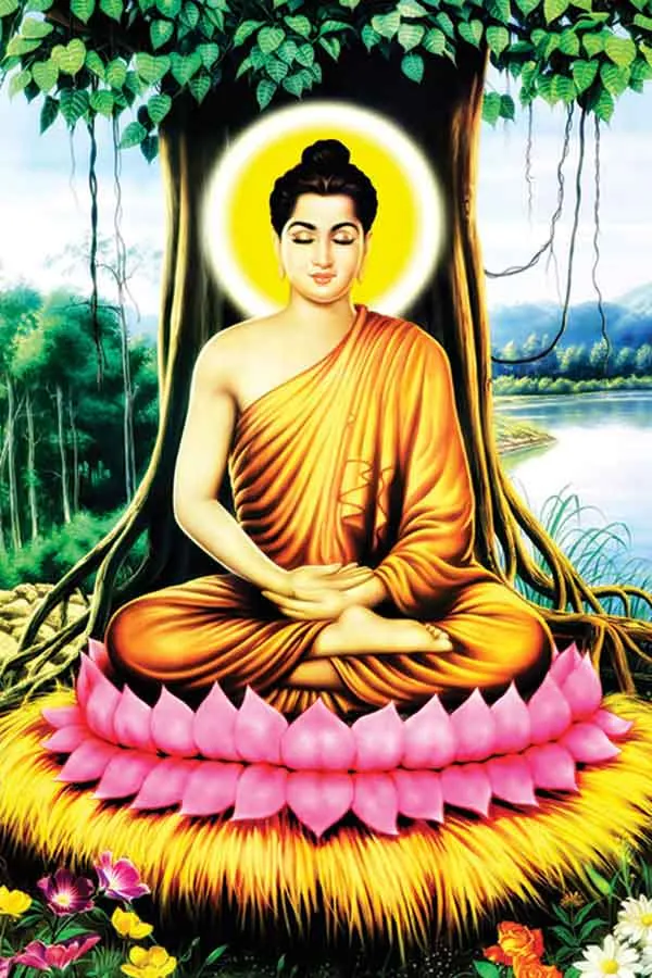 100+ ảnh phật đẹp thanh tịnh · ảnh 1