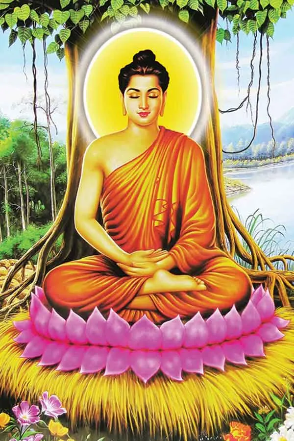 100+ ảnh phật đẹp thanh tịnh · ảnh 2