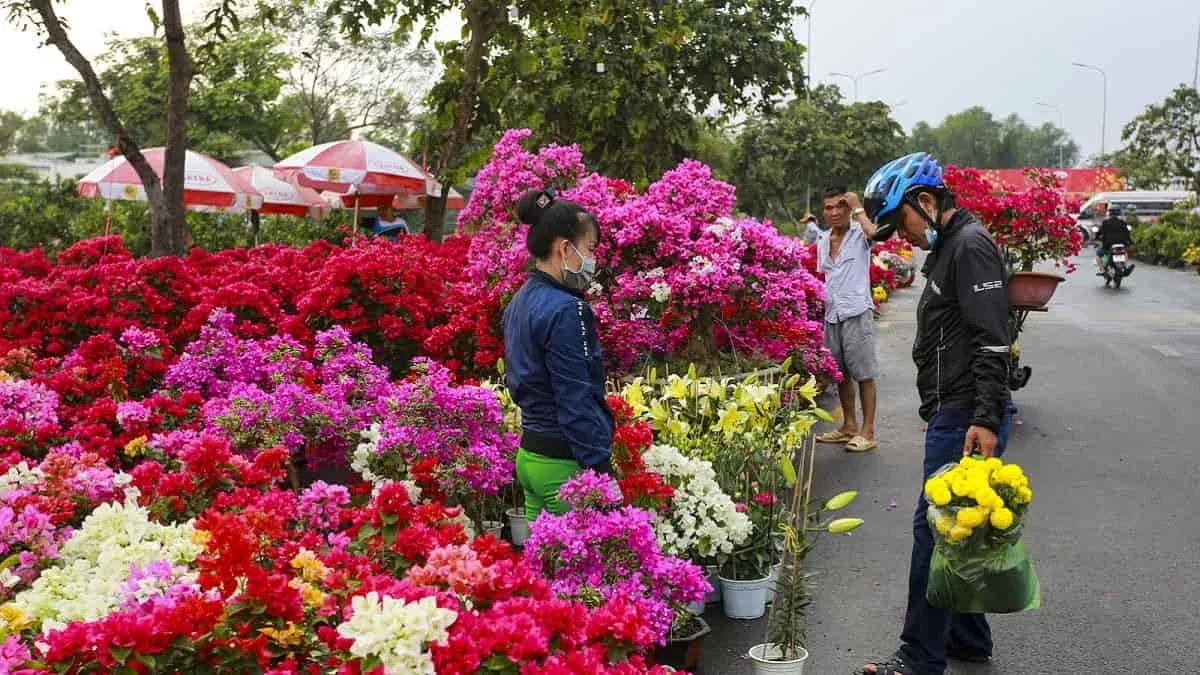 100+ hình ảnh tết đẹp rực rỡ · ảnh 1